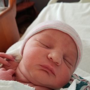 Meet your Posher, Lynsy